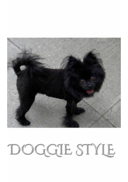 Doogie  Style  Pomeranian Journal