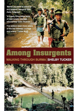 Among Insurgents
