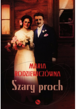 Szary proch