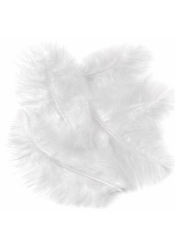 Pióra indycze białe 15cm 5szt