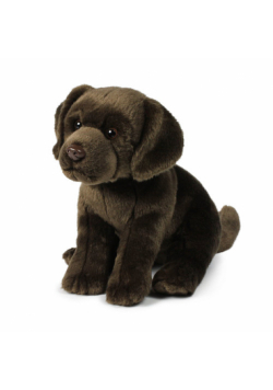 Labrador brązowy 20 cm