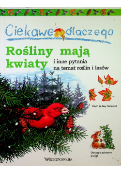 Ciekawe Dlaczego Rośliny Mają Kwiaty