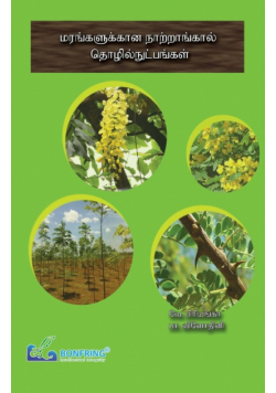 Nursery Techniques for Trees