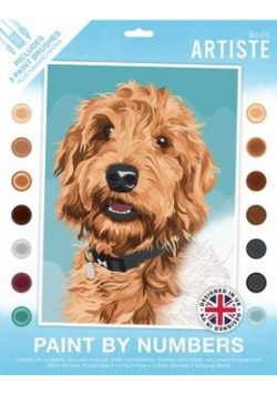 Malowanie po numerach - Playful Labradoodle