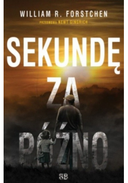 Sekundę za późno
