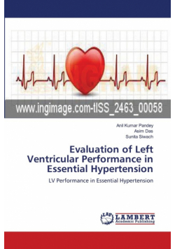 Evaluation of Left Ventricular Performance in Essential Hypertension