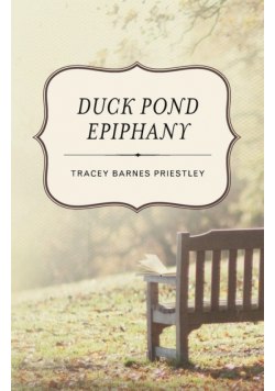 Duck Pond Epiphany