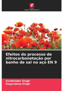 Efeitos do processo de nitrocarbonetação por banho de sal no aço EN 9