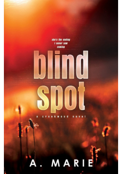 Blind Spot Discreet Cover