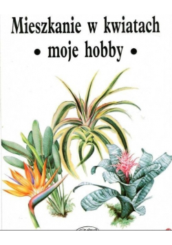 Mieszkanie w kwiatach  moje hobby