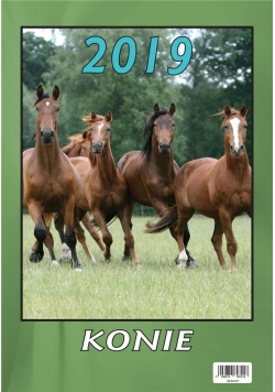 Kalendarz 2019 Wieloplanszowy Konie BESKIDY