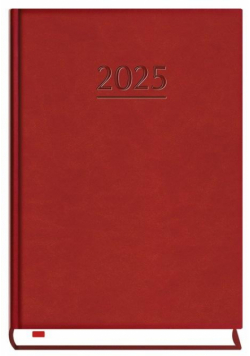 Terminarz 2025 B6 dzienny powszechny bordo