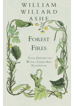 Forest Fires  - Their Destructive Work , Causes And Prevention