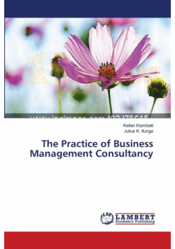 The Practice of Business Management Consultancy