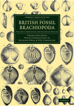 British Fossil Brachiopoda - Volume 3