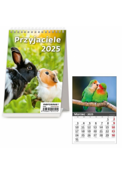 Kalendarz 2025 Biurkowy pionowy Przyjaciele miesięczny