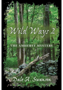 The Wild Ways 2