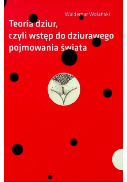 Teoria dziur
