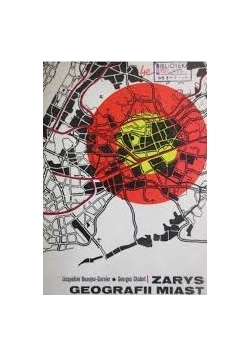 Zarys geografi miast