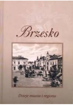 Brzesko Dzieje miasta i regionu
