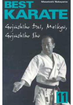 Best Karate 11