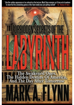 Forbidden Secrets of the Labyrinth