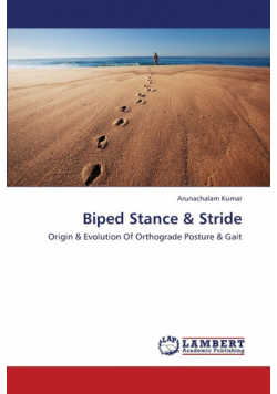 Biped Stance & Stride
