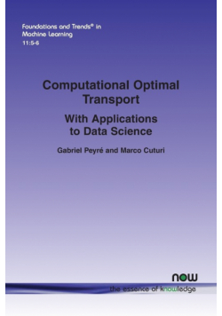 Computational Optimal Transport