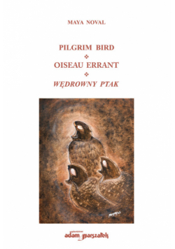 Pilgrim Bird Oiseau Errant Wędrowny Ptak