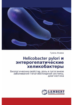 Helicobacter Pylori I Enterogepaticheskie Khelikobaktery