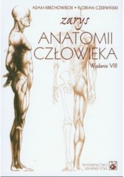 Zarys anatomii człowieka