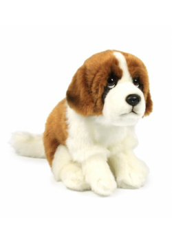 Bernardyn 19 cm