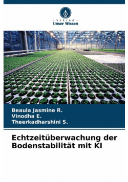 Echtzeitüberwachung der Bodenstabilität mit KI
