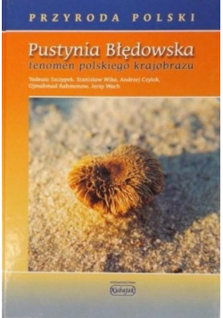 Pustynia Błędowska Fenomen polskiego krajobrazu