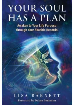 Your Soul Has a Plan