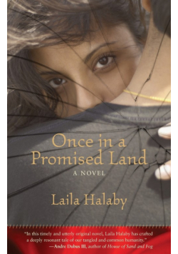 Once in a Promised Land