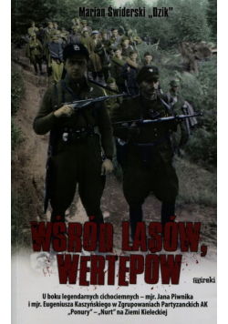 Wśród lasów i wertepów