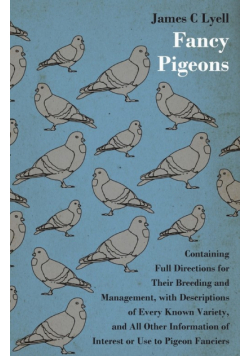 Fancy Pigeons