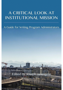 A Critical Look at Institutional Mission