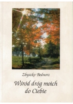 Wśród dróg moich do Ciebie