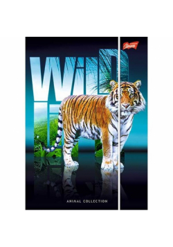 Teczka z gumką A4 Wild Life 10 sztuk