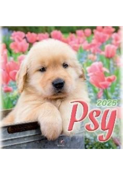 Kalendarz 2025 wieloplanszowy Psy