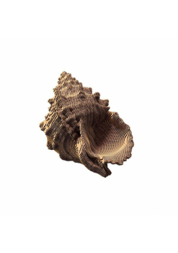 Puzzle 3D kartonowe - Muszla