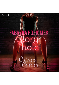 Fabryka Poziomek: Glory hole – opowiadanie erotyczne