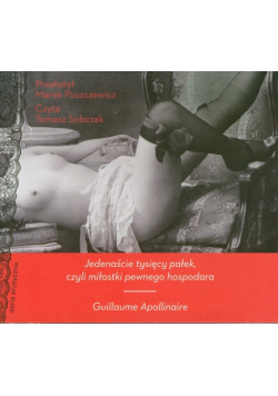 Jedenaście tysięcy pałek, Audiobook