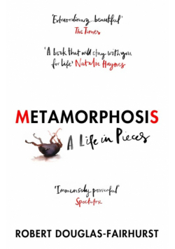 Metamorphosis