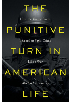 The Punitive Turn in American Life