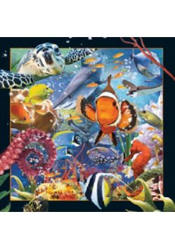Magnes 3D - Ocean