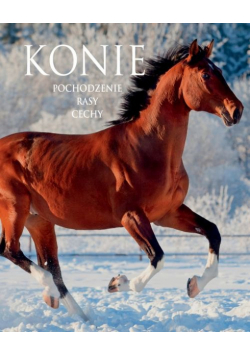 Konie Pochodzenie Rasy Cechy/SBM