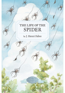The Life of the Spider